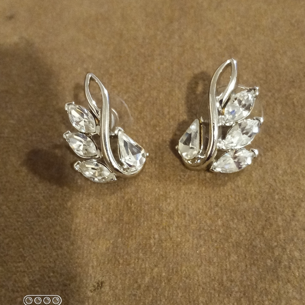 Sterling silver Earrings